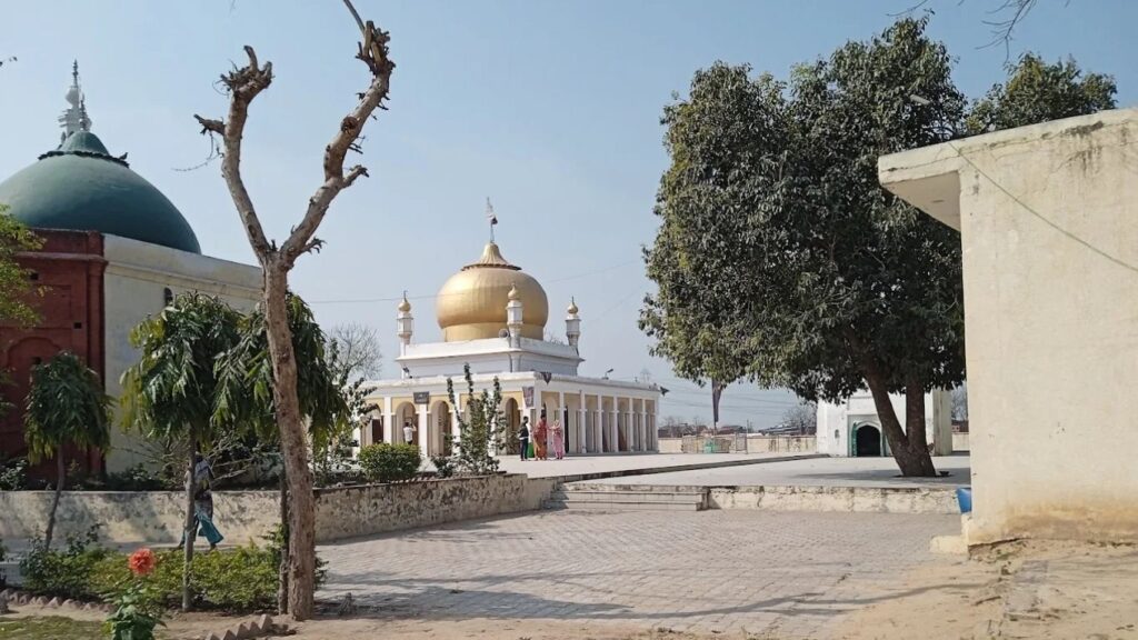 MashaseHind